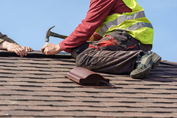 Best Metal Roofing Contractor  in Toccoa, GA