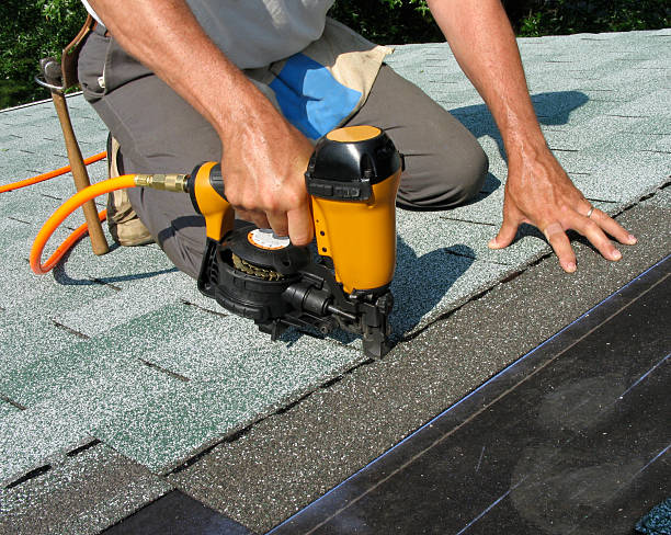 Best Roof Gutter Cleaning  in Toccoa, GA