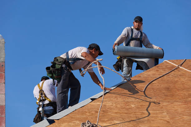 Best Commercial Roof Installation  in Toccoa, GA