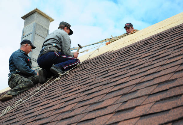 Best Gutter Installation and Roofing  in Toccoa, GA