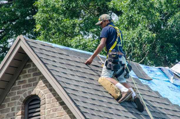 Best Roof Maintenance Services  in Toccoa, GA